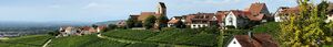 Ötlingen - Panoramaansicht klein banner2.jpg