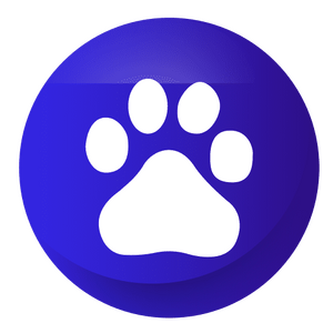 Baidu(2).png